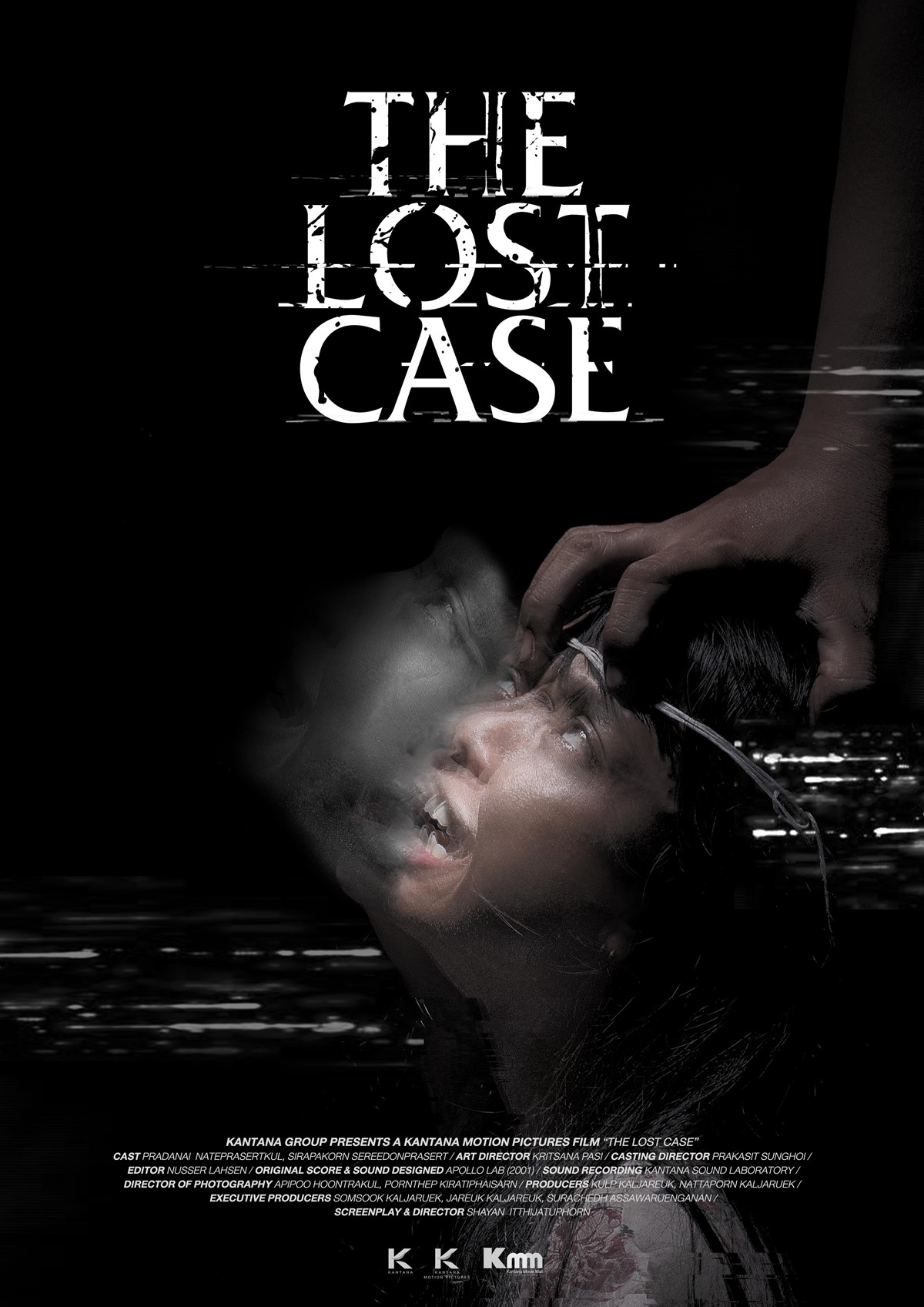 thelostcase